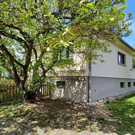 Maison Familiale 30 Min. D'Europa-Park - Rulantica Villa Gerstheim Eksteriør billede